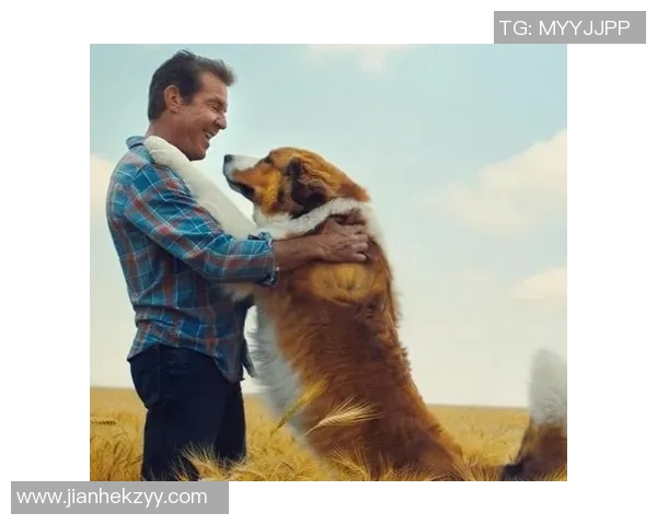 足球明星与狗狗的深厚情谊探秘与他们生活中的温暖瞬间 足球明星与狗狗的深厚情谊探秘与他们生活中的温暖瞬间